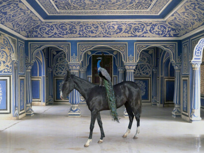 Karen Knorr. Courtesy of Danziger Gallery