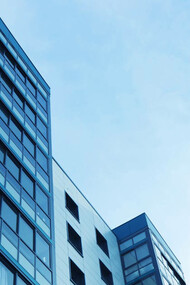 Corporate dominance, the power play of mega-corporations
