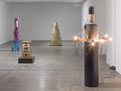 Manifestations. Courtesy of Galerie Guido W. Baudach