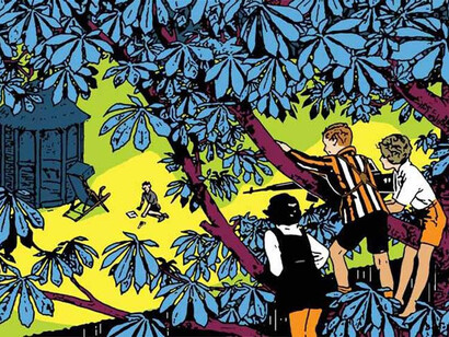 Ceal Warnants, The Boy Next Door