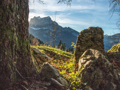 Music at the threshold, ph. M. Stillwater
