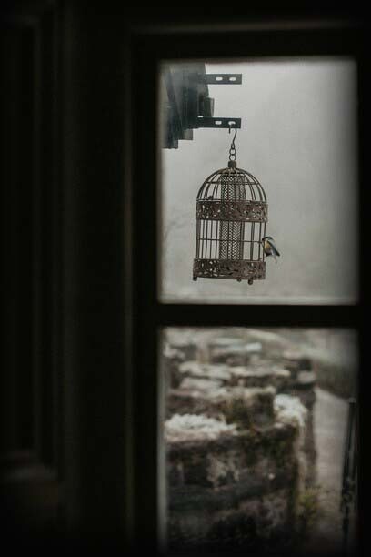 Bird in a cage: a beautiful memory is often like a bird we keep in a cage 