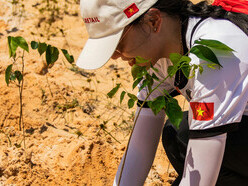 A vivência comunitária permite que pessoas, mesmo com diferentes olhares, possam se unir em prol do bem comum, ajudando a criar um ambiente de cooperação e solidariedade