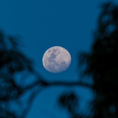 Pete Jamenson come ogni vero vampiro si faceva vedere soltanto al calar delle tenebre 