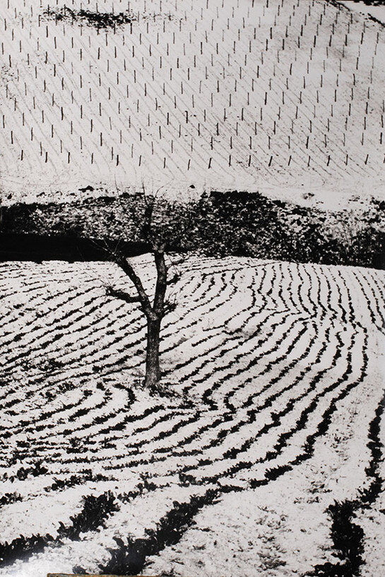 Mario Giacomelli
