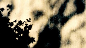 La sombra de un paisaje que luego desaparecerá, con un soplo, como si se tratase de una transformación alquímica