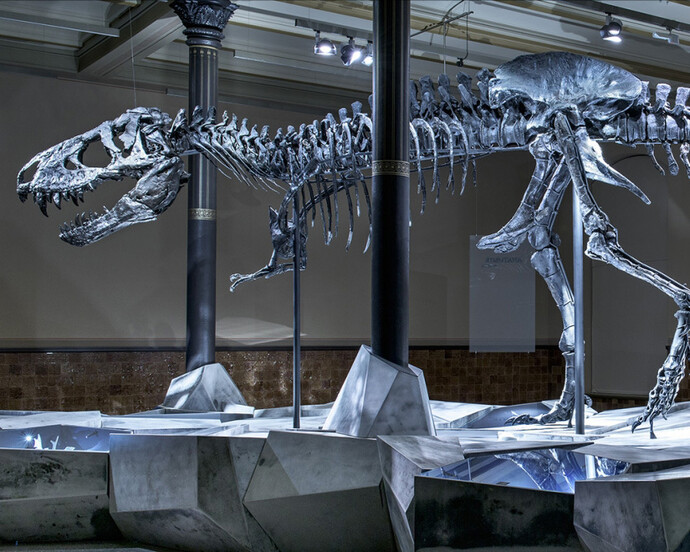 Tristan. Berlin bares teeth. Courtesy of Museum für Naturkunde