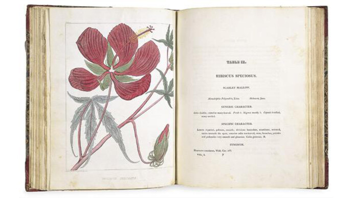 Illustrated Books. Courtesy of Amon Carter Museum of American Art