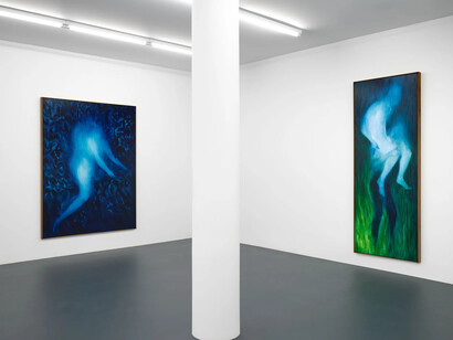 Xie Lei, Pain of others, exhibition view. Courtesy of François Ghebaly Gallery