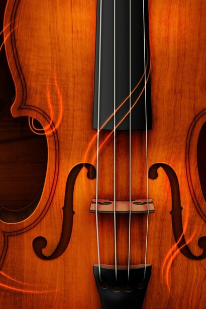 Viola