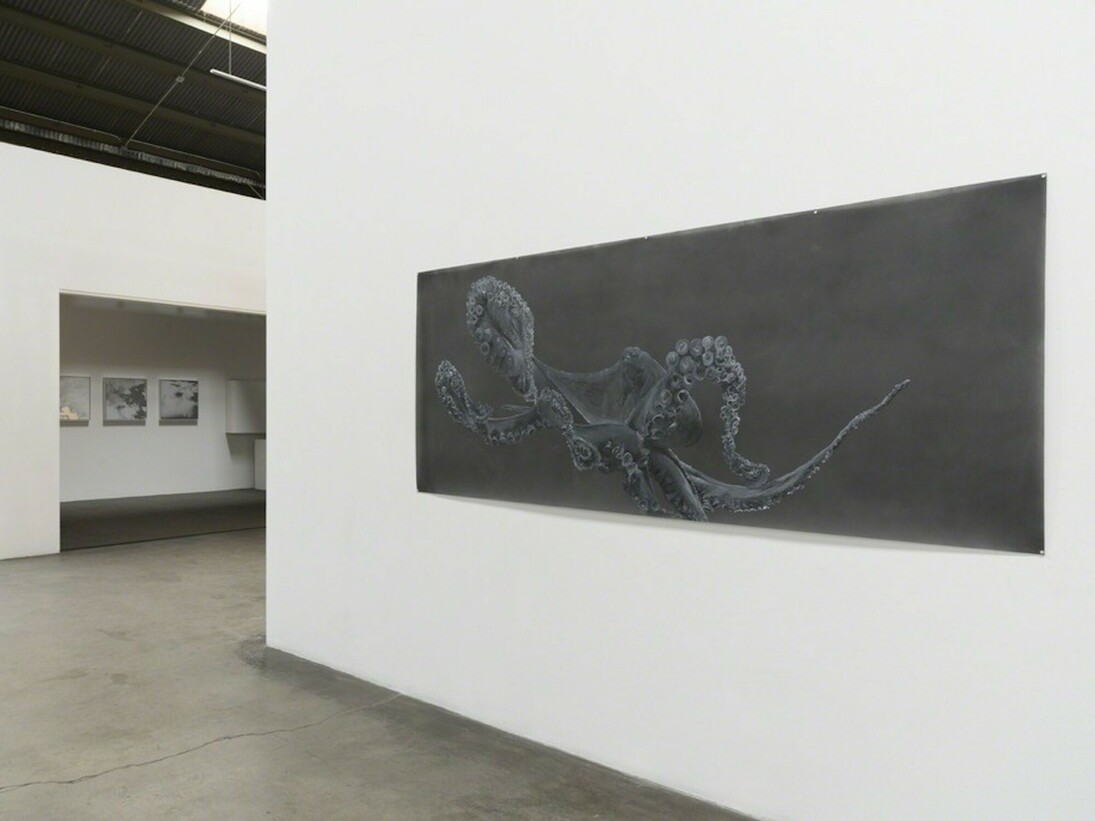 Lynn Hanson's Wrack & Bramble, Exhibition view. Courtesy of Lora Schlesinger Gallery