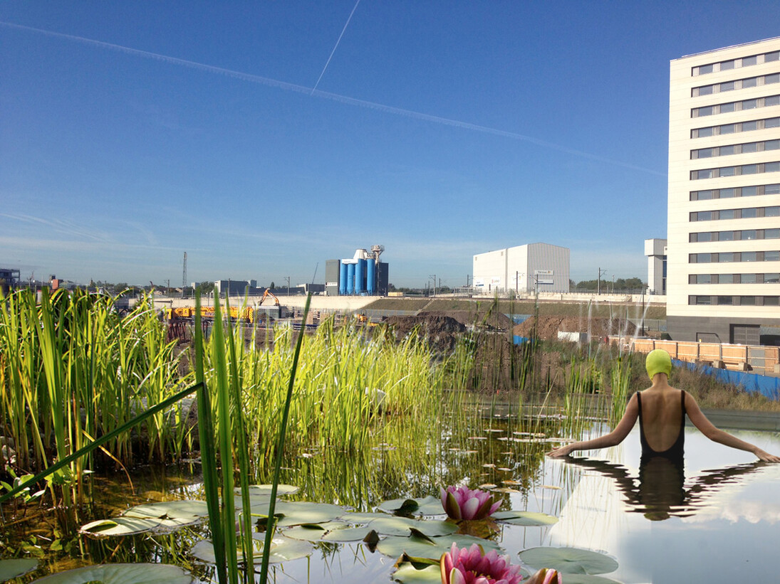 King's Cross Pond Club, Visual showing Kings Cross Pond Club, (2013)