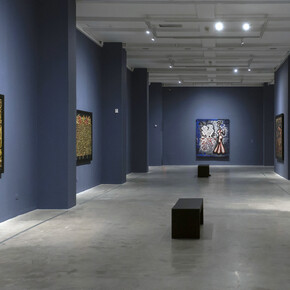 Carlos Luna, Tra osmosi e fusione, vista della mostra. Per gentile concessione della BUAP