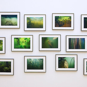 Verschiedene künstler, Über land, ausstellungsansicht. Mit freundlicher genehmigung des Museums der bildenden Künste Leipzig