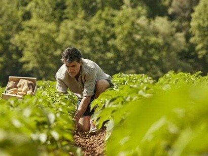 Tra mercato interno ed estero, il biologico vale la cifra record di 7,5 miliardi di euro