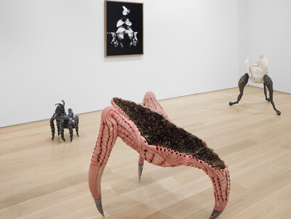 Various artists, Under the skin, exhibition view. Courtesy of Asya Geisberg Gallery