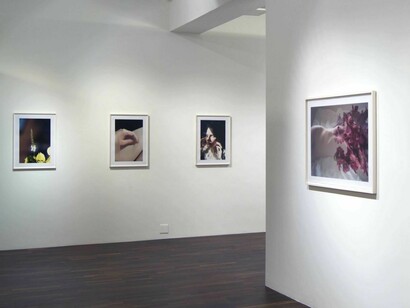 Lina Scheynius, Exhibition view. Courtesy of Christophe Guye Galerie