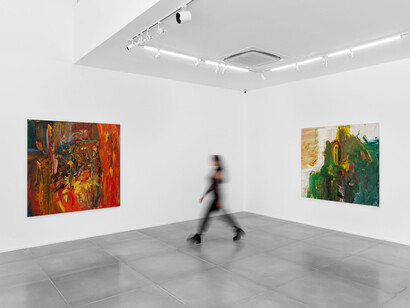 Jorge Guinle Filho, Infinito, exhibition view. Courtesy of Galeria Simões de Assis