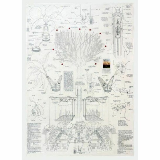 Justin Amrhein, "Replacement Cherry Tree," 2013, Graphite, acrylic and collage on mylar, 57 x 40 inches