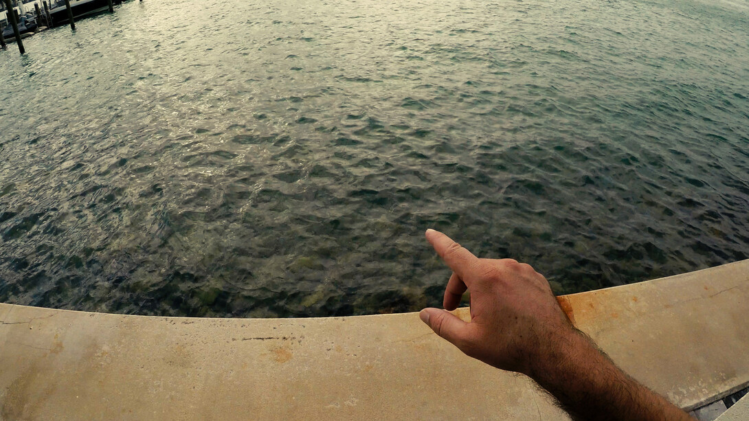 Meiro Koizumi. Courtesy of Pérez Art Museum