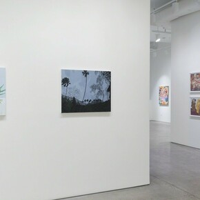 Hilary Pecis, Exhibition view. Courtesy of Joshua Liner Gallery