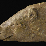 Ours. Courtesy of Laténium