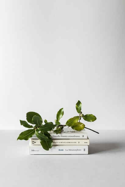 Books: conversations with the greatest of minds