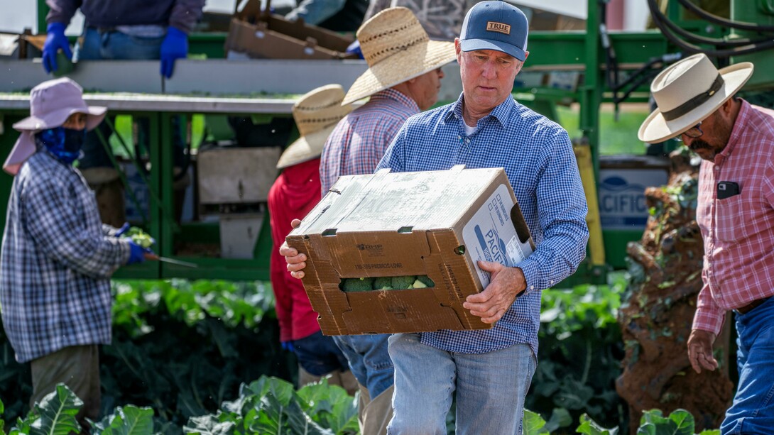 La cadena de suministro en la industria gastronómica es un factor clave que determina la calidad del producto final, la eficiencia operativa y la rentabilidad del negocio