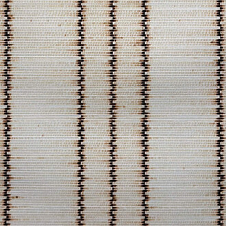 Ankush Safaya, Untitled (detail), 20025. Courtesy of Sakshi Gallery