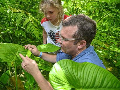 Environmental education: national parks are actively used to train teachers and to teach students with specific program visits throughout primary, secondary and tertiary studies