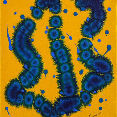 David Syre, Sperm after Eggs (2016)