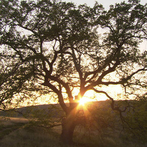 Entre la figuración y la abstracción, la acción. Courtesy of Centro Andaluz de Arte Contemporáneo