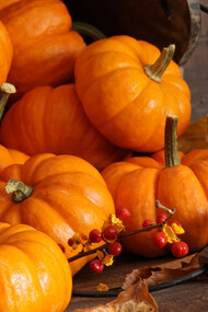 Favolosa Zucca