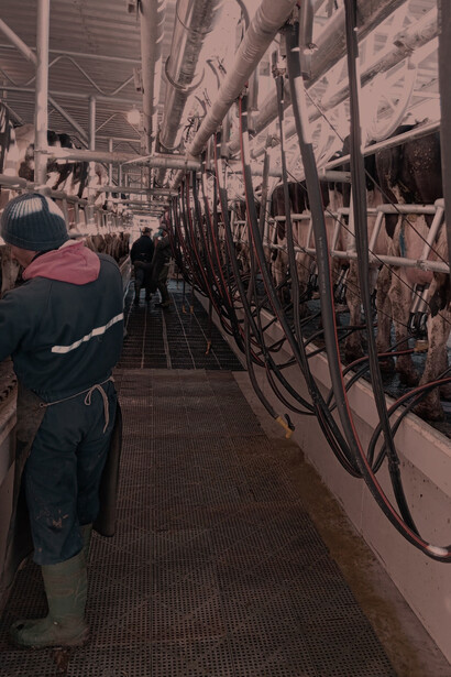 El Día del Trabajador Rural se estableció por ley en Uruguay en 2008 como un acto de justicia histórica hacia un sector tradicionalmente desprotegido