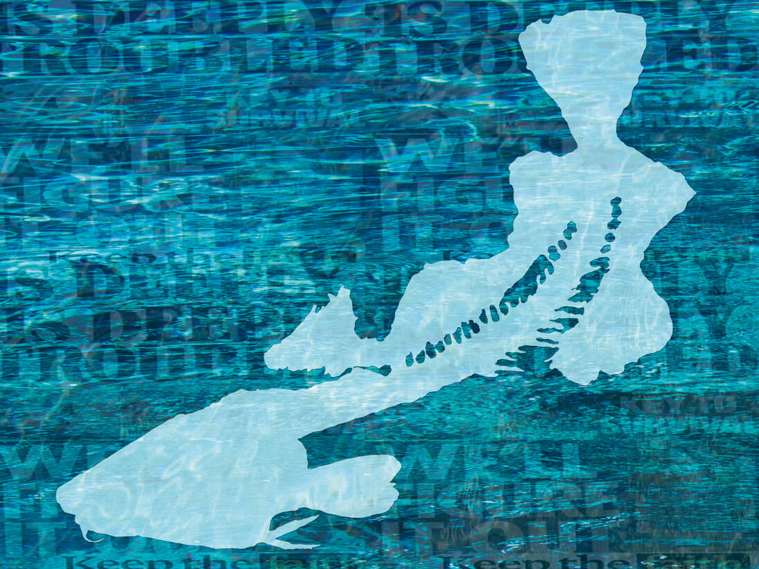 Abigail Fallis, Gutted