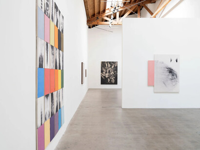 Kunié Sugiura, X-ray island, exhibition view. Courtesy of Moskowitz Bayse 