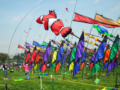 Cherry Blossom Kite Festival