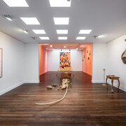 Liliana Sánchez, Fruto animal, exhibition view. Courtesy of Casas Riegner Gallery