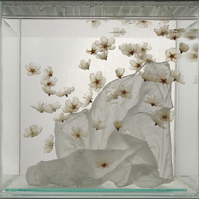 Isabel Consigliere. Sublimazione (o della trasformazione delle lacrime)