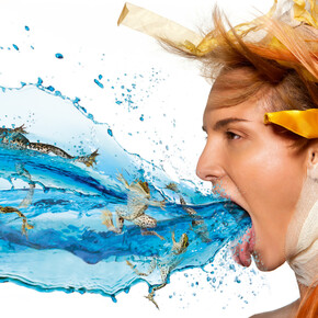 Heinz Schattner, Frog 58x28,3cm Hahnemuehle Barytata