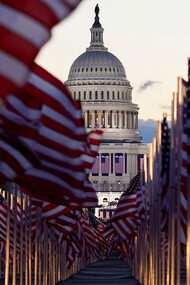 Campo de banderas en el National Mall con el Capitolio al fondo, Washington, D.C.