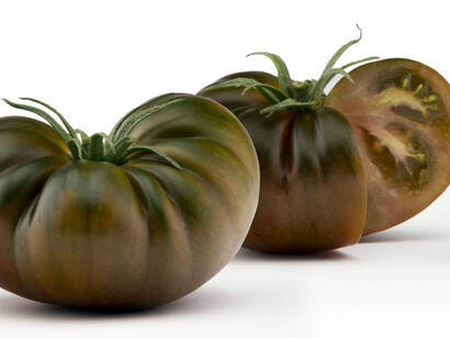 Fruit Logistica 2018. Courtesy of Berlin ExpoCenter City and City Cube