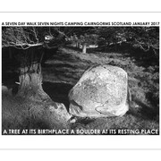 The Fine Art Society