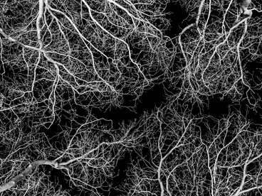 L’uomo è per sua natura senza luogo, straniero persino nello spazio che chiama casa