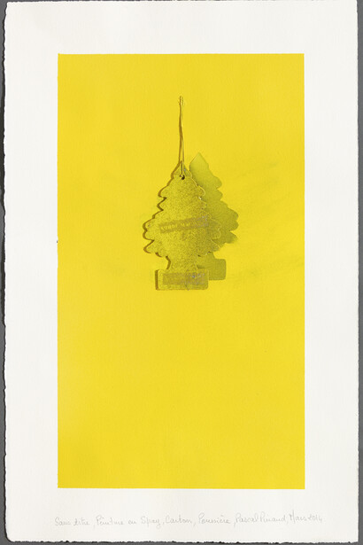 Pinaud, Pascal, Sans titre (14B10), 2014, Spray paint, carton, dust on Arches paper, 59,5 x 42 x 3,5 cm © François Fernandez, Courtesy Galerie Natalie Obadia, Paris/Bruxelles