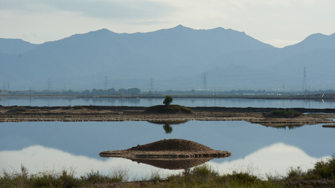 Salt pans near Cagliari. Ph Raethia Corsini
