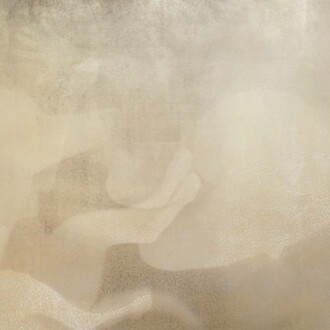 Márcia Xavier, Mandragora ouro (detalhe), 2026. Cortesia da Galeria 111