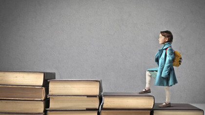 The learning styles