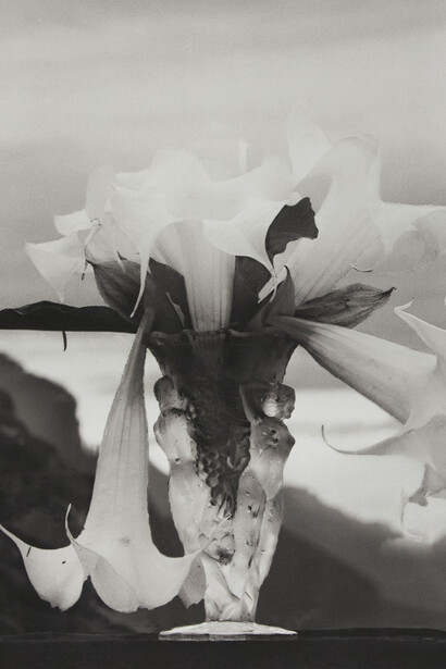 Foto de Flor Garduño