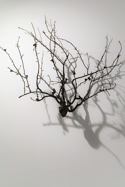 Javier Pérez. Courtesy of KETELEER Gallery